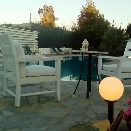 Sea Shell Apartments Pirgos Psilonerou Exteriér fotografie